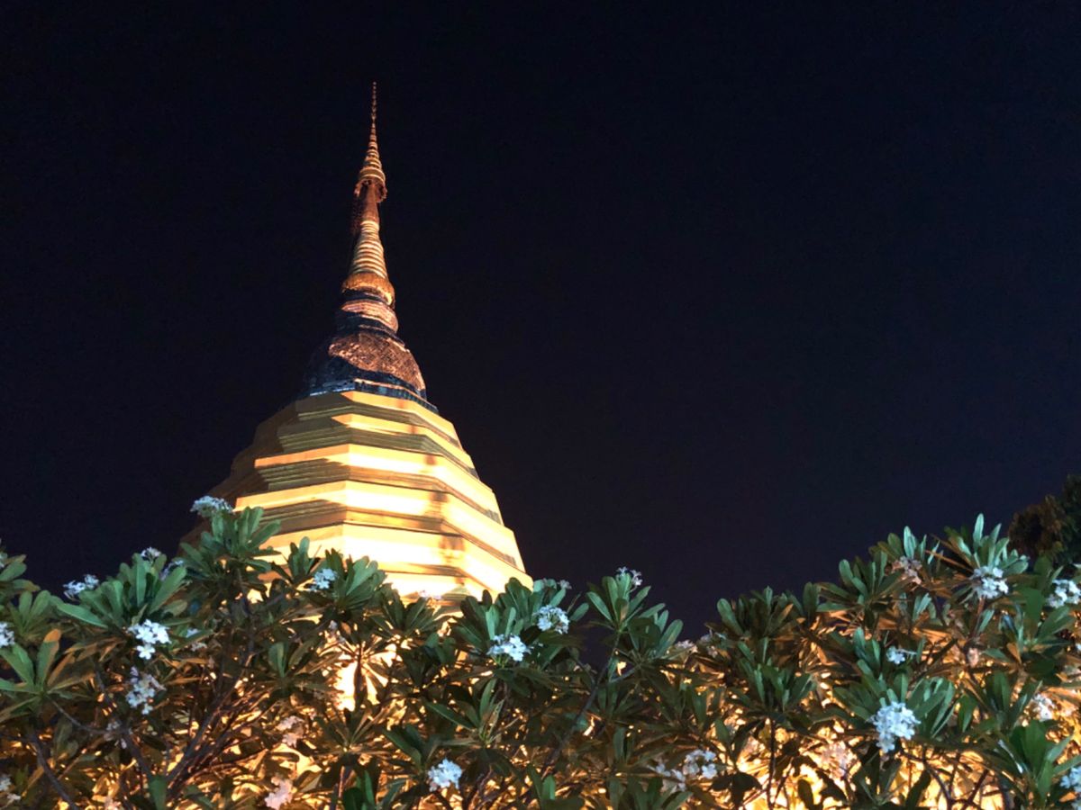 ワット パーンピン วัดป้านปิง

宿の隣にあったお寺なんだけど
...