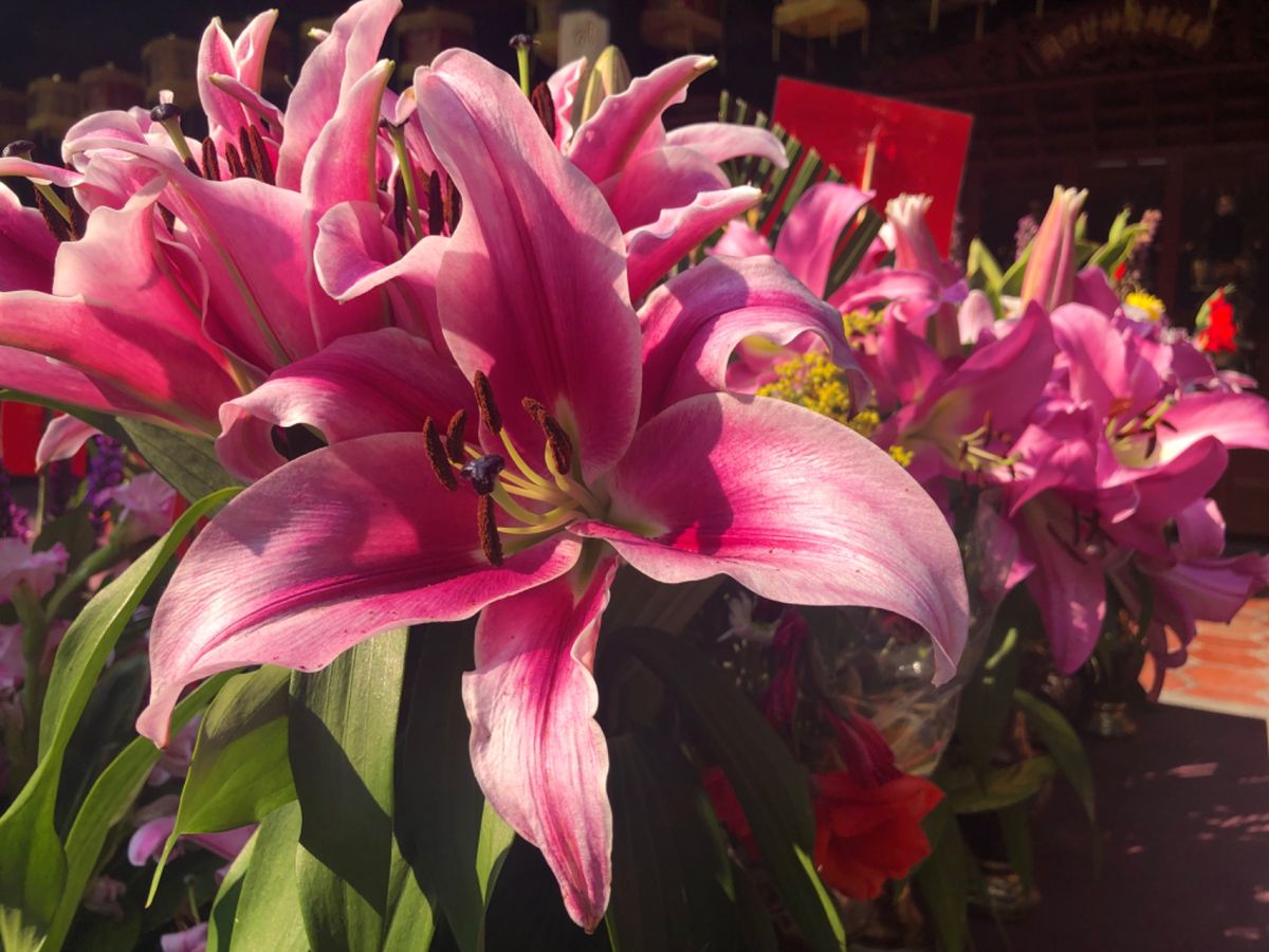 鹿港天后宮

彫刻が迫力あって見飽きない😳