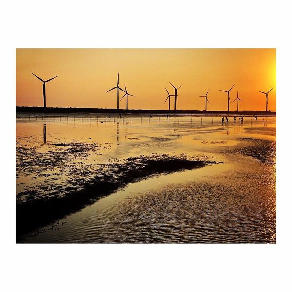 台湾・台北「美味いもの三昧！食い道楽の旅」の写真：台湾のウユニ塩湖こと高美湿地
かなり人が...