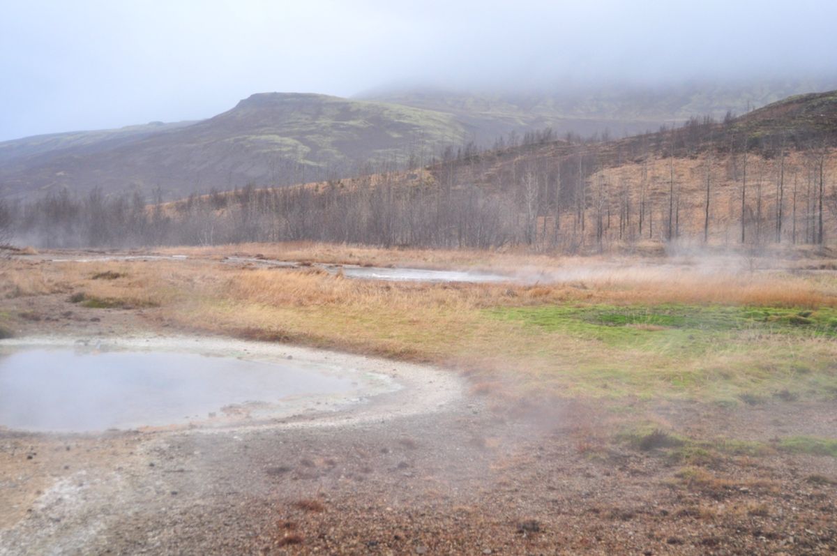 ゲイシル Geysir

雰囲気が大分に似てる
間欠泉がある周りには人がたくさん
