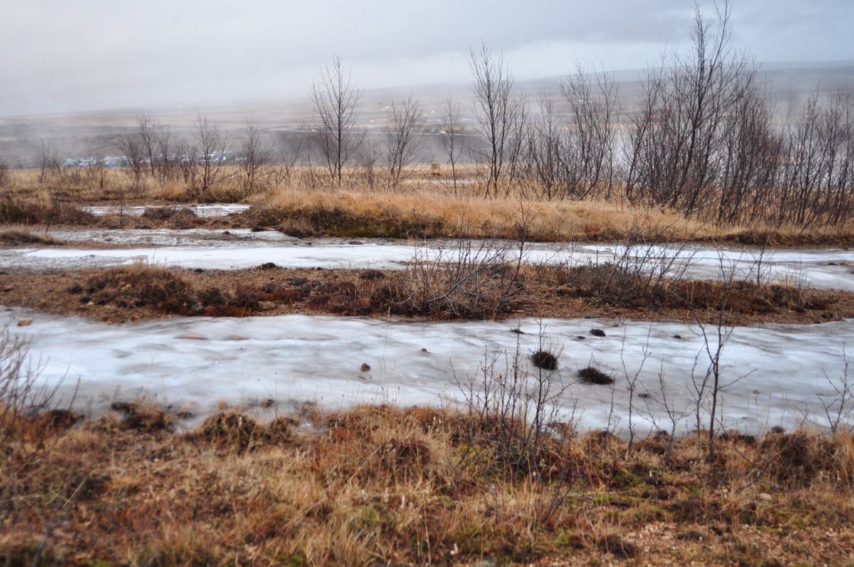 ゲイシル Geysir

雰囲気が大分に似てる
間欠泉がある周りには人がたくさん