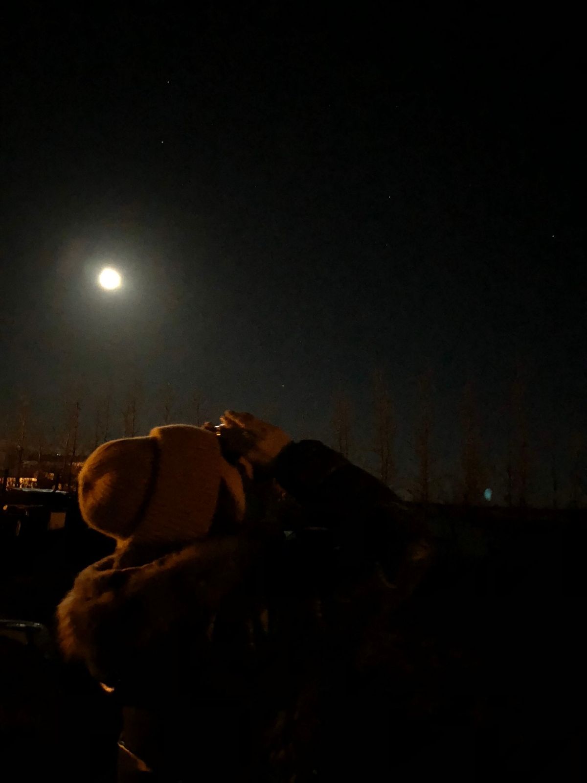 アイスランドでの夜の運転
運転しながらでも星が見えるくらい満天の星空だった...