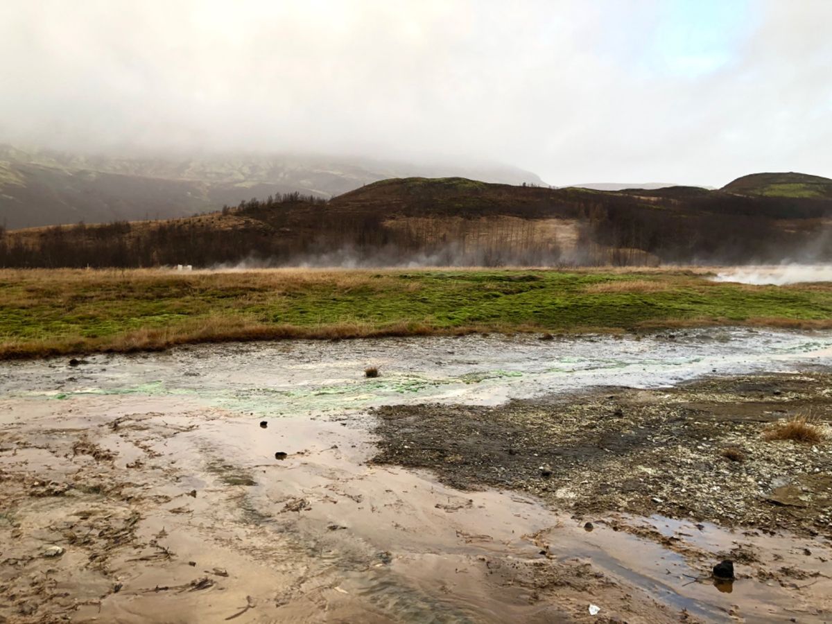 ゲイシル Geysir

巨大な間歇泉があるところなんだけど、
周りは湯気...