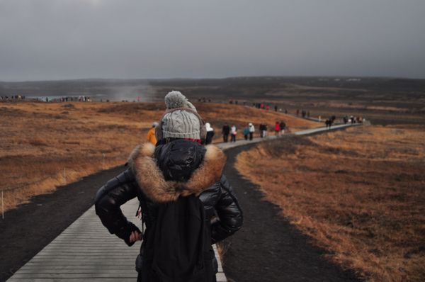 アイスランド・レイキャビク「アイスランド大自然の旅」の写真：Gullfoss

滝に向かう途中に可愛...