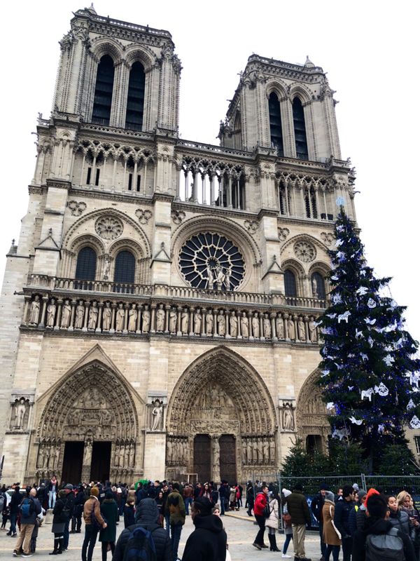 フランス・パリ「食欲と物欲を満たす弾丸パリ旅行」の写真：ノートルダム大聖堂

ここには何度も来た...