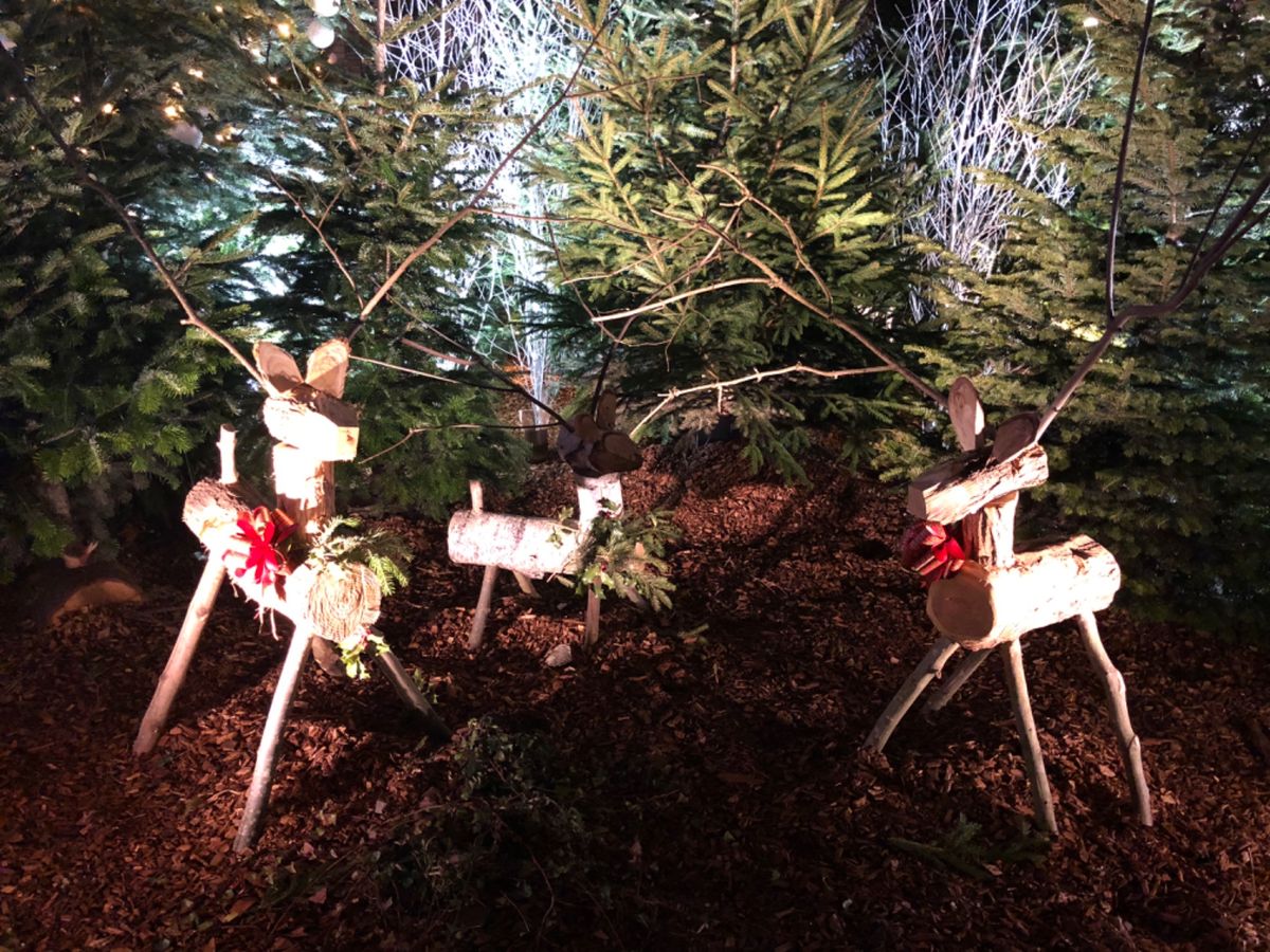 夜には街中のクリスマスデコレーションがライトアップされて可愛い雰囲気だった🎠