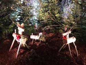 夜には街中のクリスマスデコレーションがライトアップされて可愛い雰囲気だった🎠