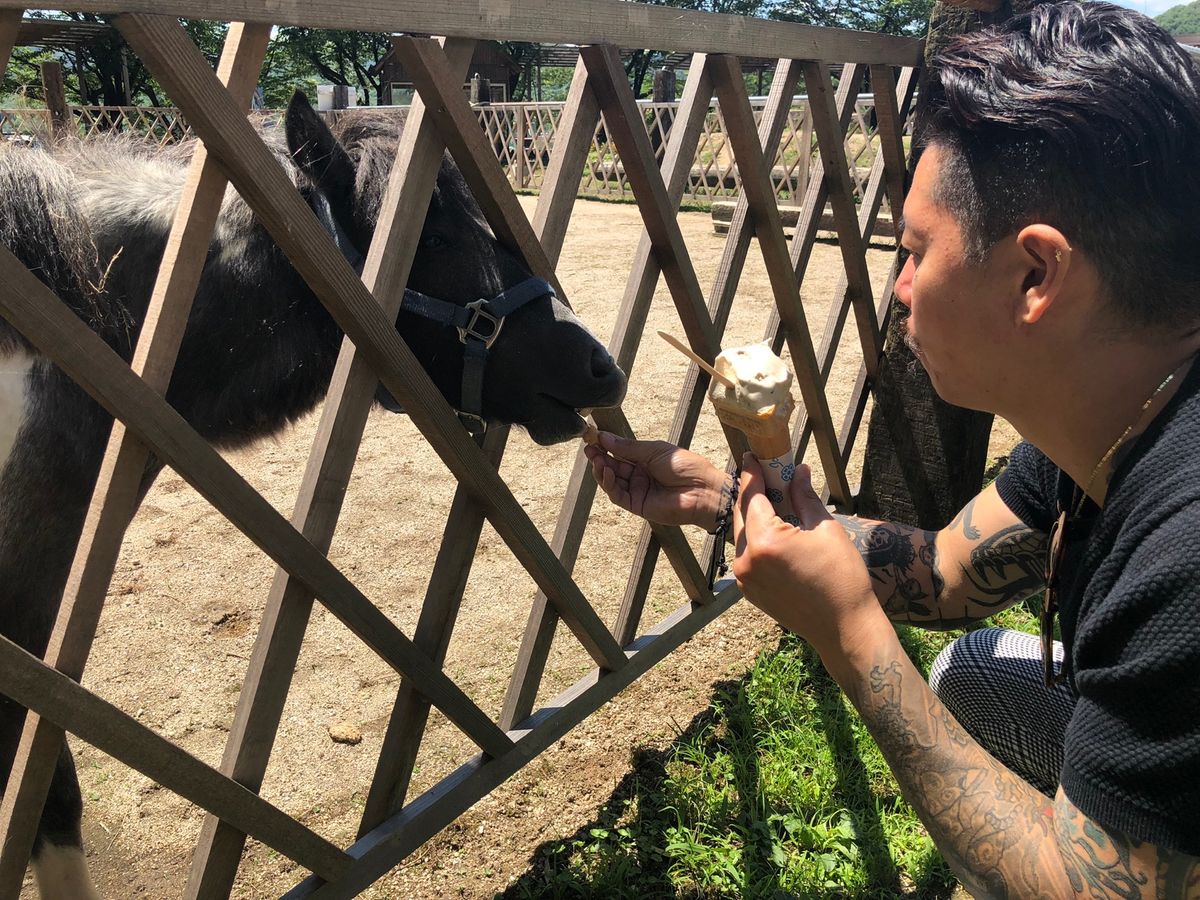 安富牧場

ポニーちゃんと赤ちゃん🐮ちゃん達
ここのソフトクリームは濃厚で...