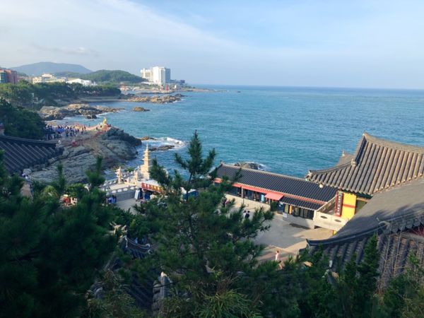 大韓民国 (韓国)・釜山「食べて食べて食べまくる！釜山ローカルグルメ」の写真：海東龍宮寺

寺からは海の景色が気持ち良い