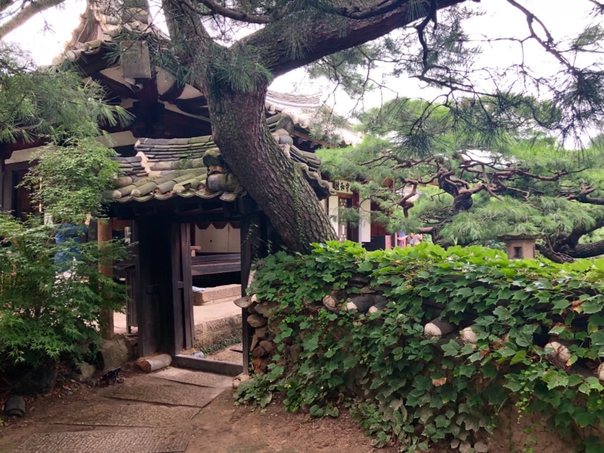 慶州の超高級レストランで
一食7〜10万くらいするらしい😳

高すぎるので...