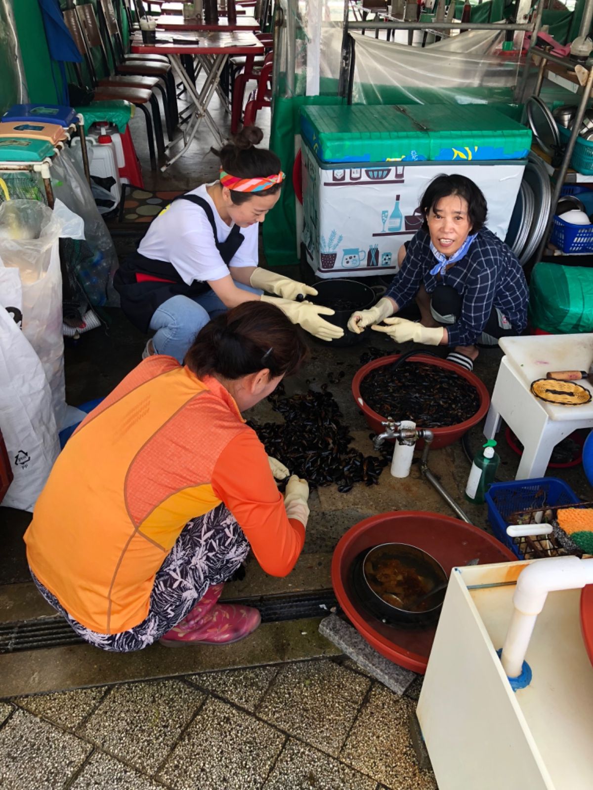 漁港の様子
美味しそうな魚介類がたくさん！