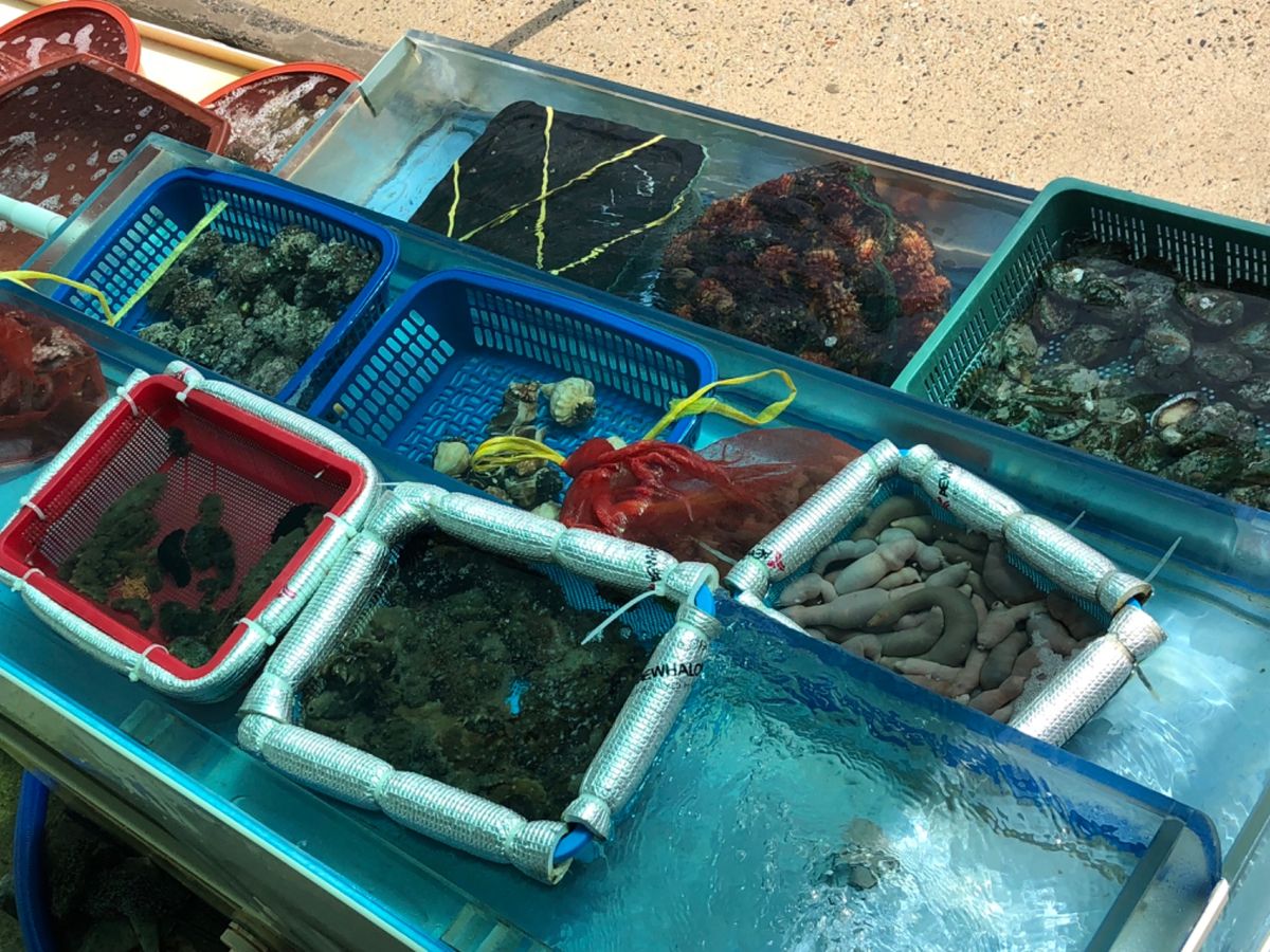 漁港の様子
美味しそうな魚介類がたくさん！