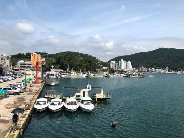 大韓民国 (韓国)・釜山「食べて食べて食べまくる！釜山ローカルグルメ」の写真：漁港の景色
乾物の屋台があるのは日本と同じ🐟