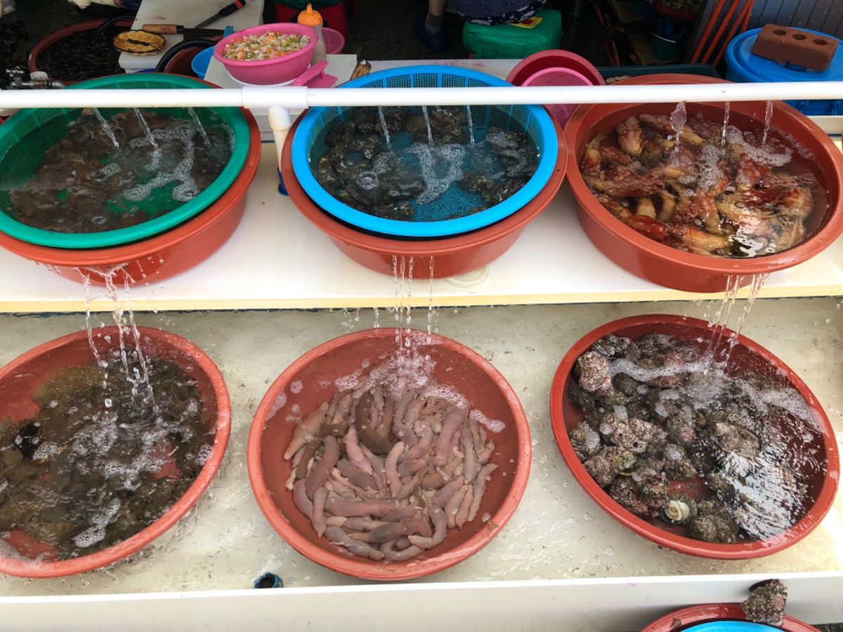 漁港の様子
美味しそうな魚介類がたくさん！