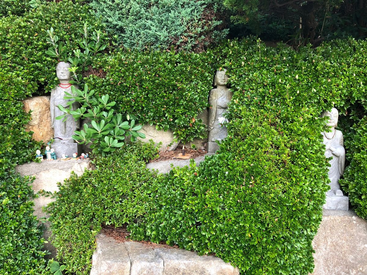 海東龍宮寺

寺からは海の景色が気持ち良い