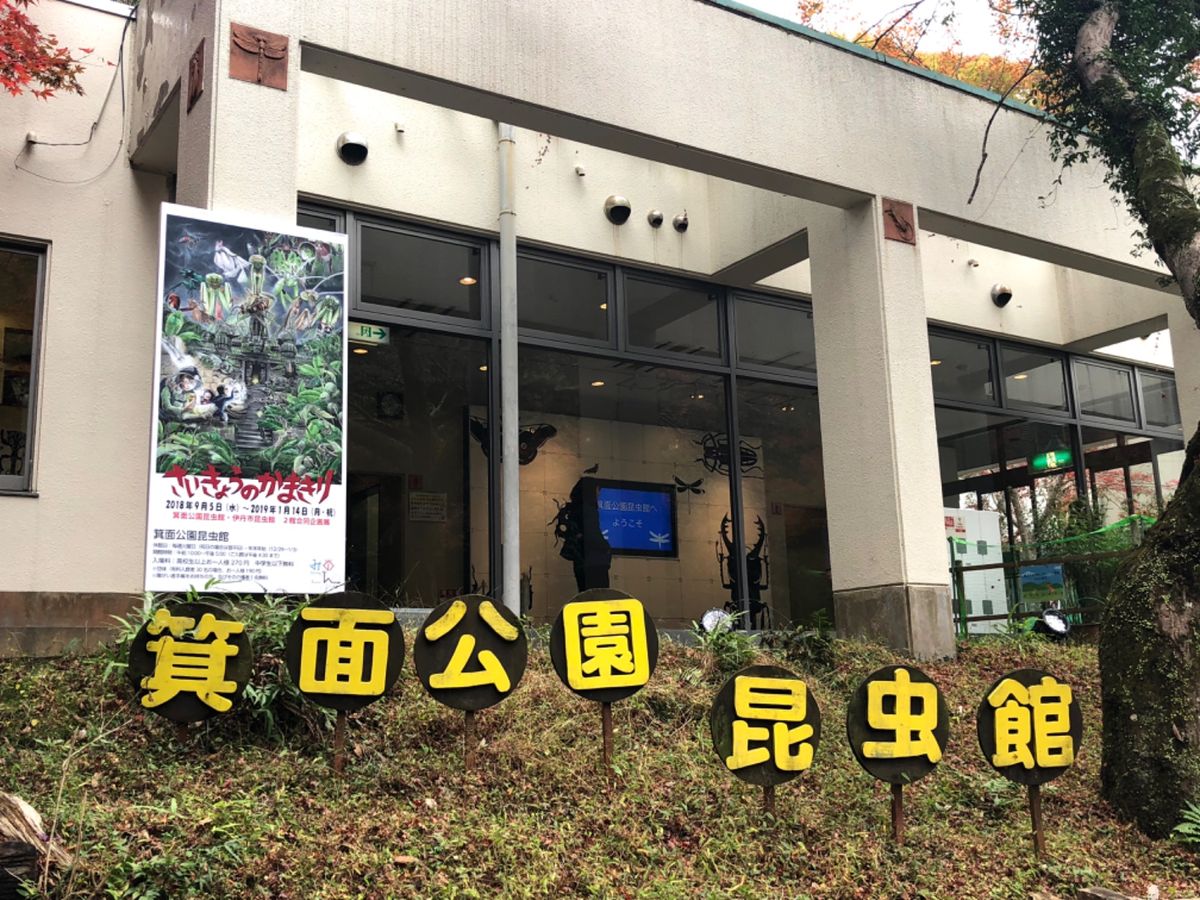 大好きな子ども科学電話相談でお馴染み
箕面公園昆虫館へ

カマキリ展やってた！