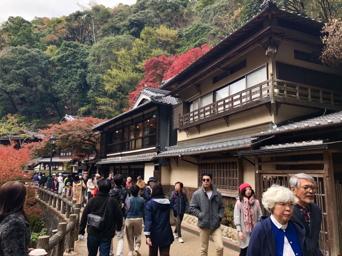 箕面公園

ちょうど紅葉が綺麗でした🍁