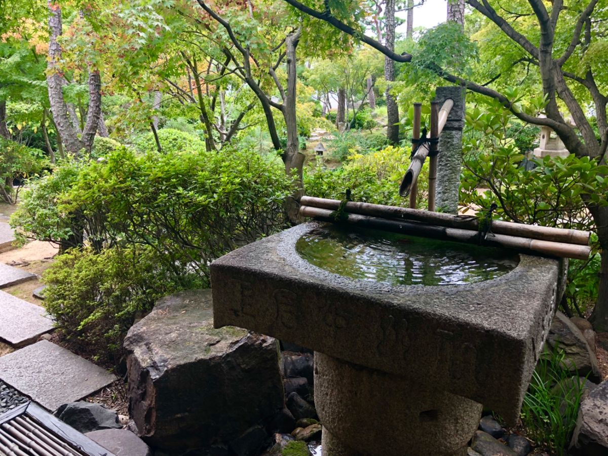 新渓園

大原美術館に行ったあとは
しばらくここでまったり☺️
