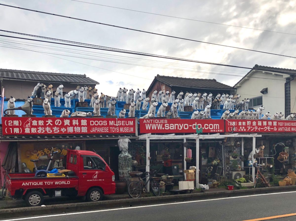 屋根にものすごい数のワンコ
可愛い〜😍