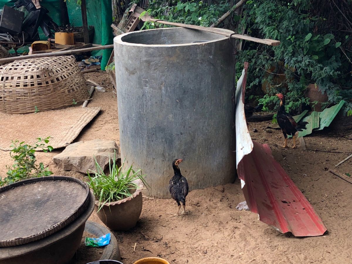 こんなペットボトルの再利用初めてみたw

赤ちゃんのゆりかご揺らす速度速く...