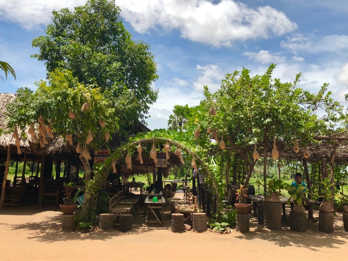 詳しいことは忘れたけど
バガンのココナッツでお酒を作ってるところ
結構度数...