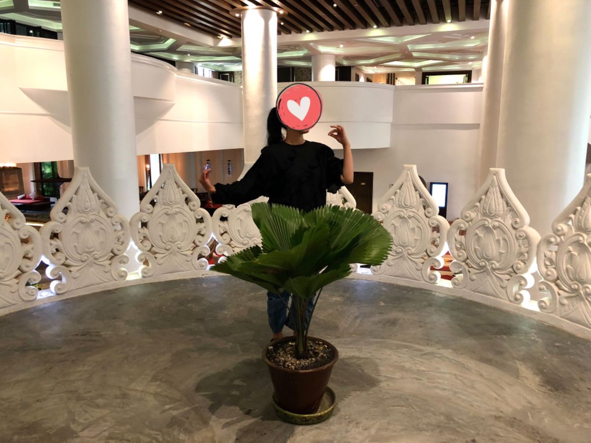 ミャンマーのパゴダにあるレリーフたちにインスパイアされて撮った写真たち😂