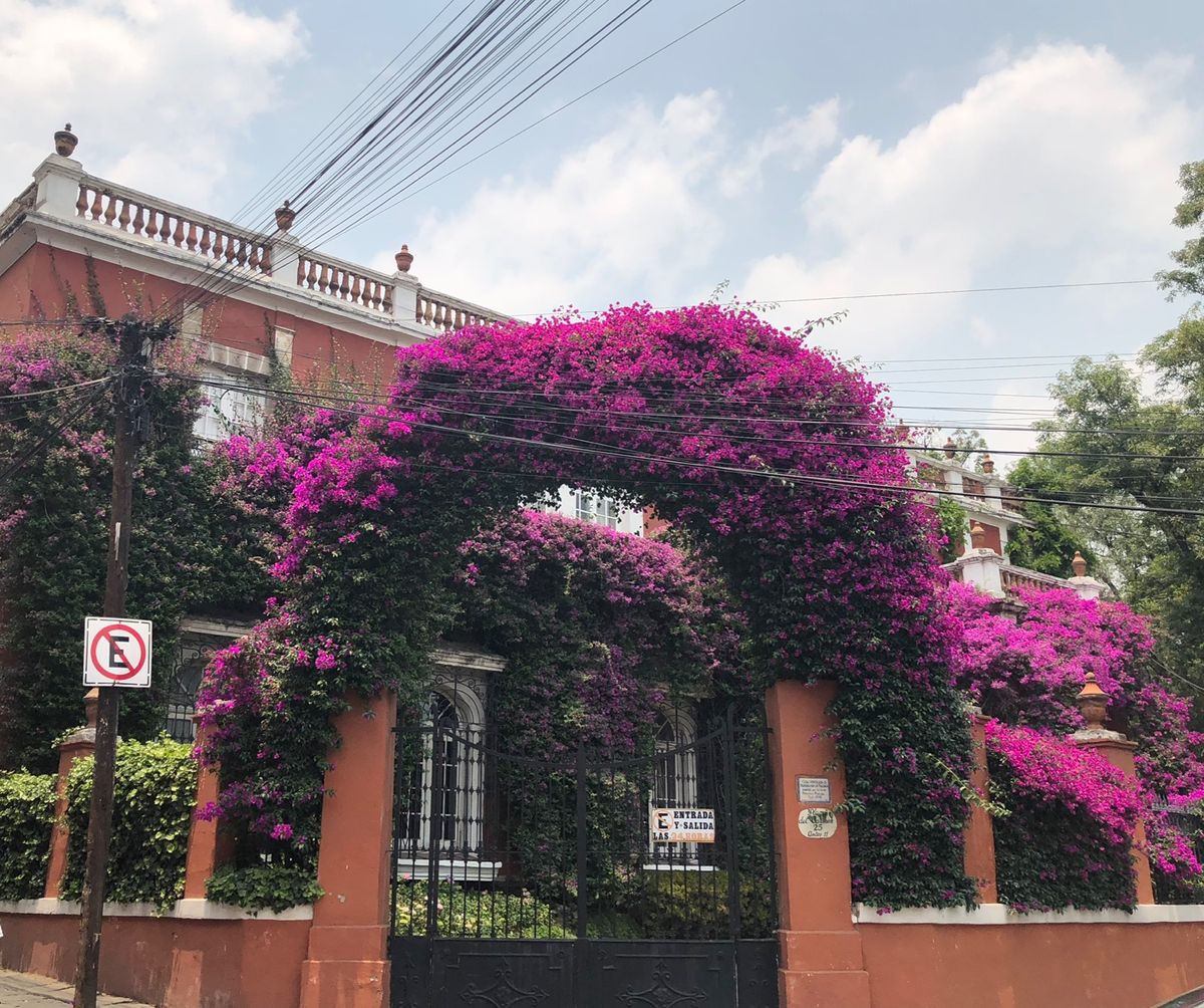 San Angel はメキシコシティのなかでも
お気に入りのお買い物スポッ...