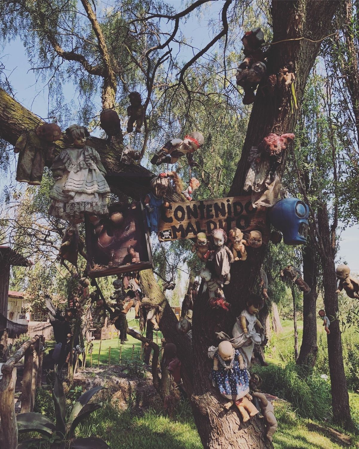 ソチミルコの人形島

島自体は小さいんだけど、
上陸したら建物の中も外もず...