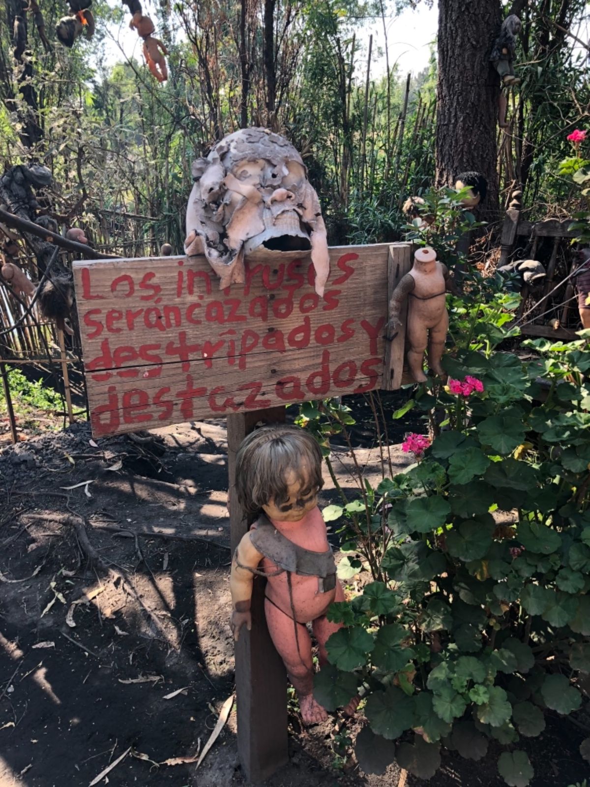 ソチミルコの人形島

どこを見ても人形の祀り方が怖すぎる😂
ブランコに揺ら...