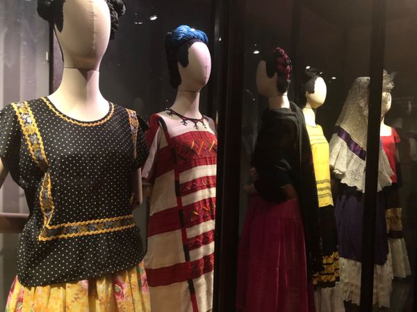 メキシコ・グアナファト「メキシコシティの周辺都市へ！！」の写真：フリーダ・カーロ博物館

庭も服もフリー...