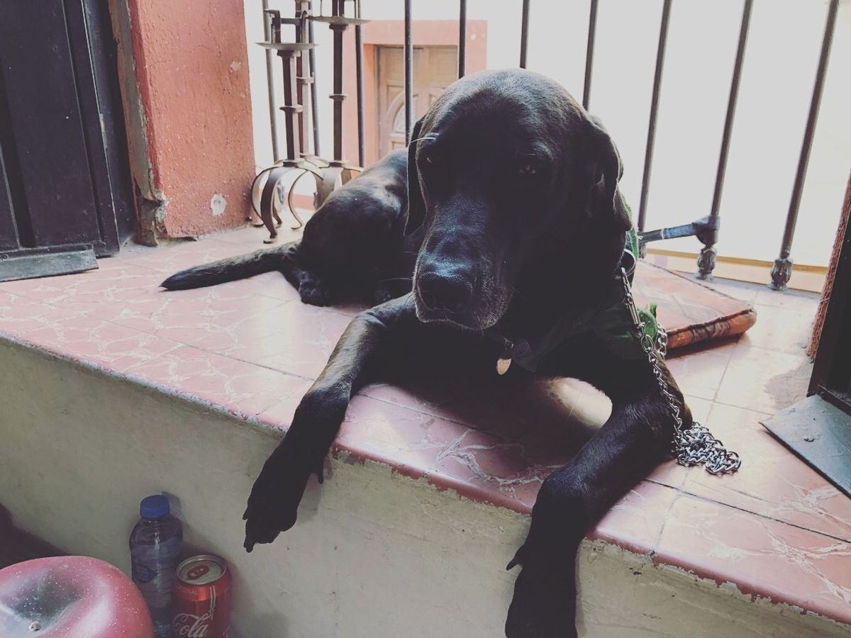 クエルナバカにある
Café Art & Antiquesというオシャレカ...