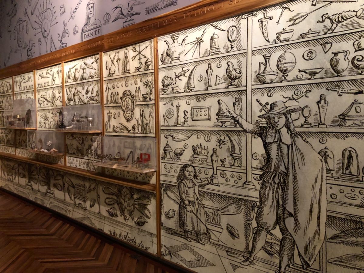 フランツ・マイヤー博物館
椅子や楽器の展示コーナー好みすぎる😍