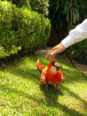 ノリくんに勧められたLas Mañanitasというクエルナバカのホテル
...