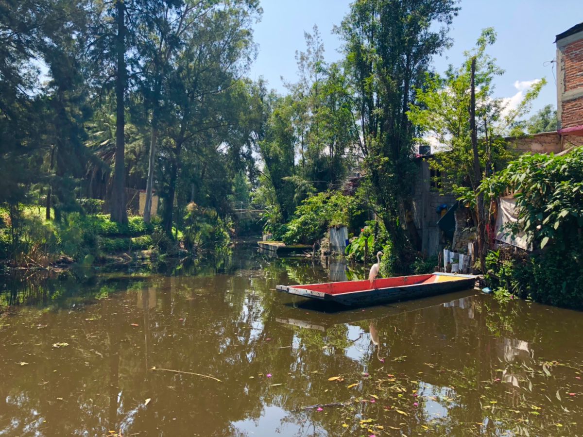 水上に音楽団までいてビックリ