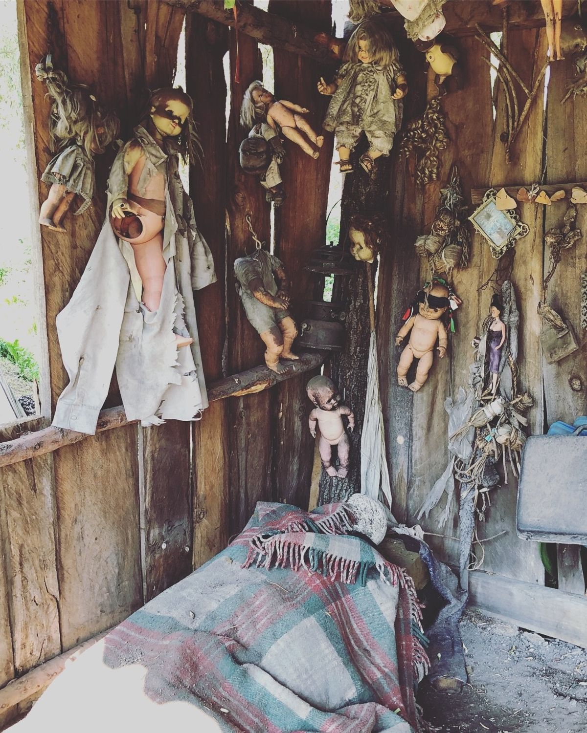 ソチミルコの人形島

島自体は小さいんだけど、
上陸したら建物の中も外もず...