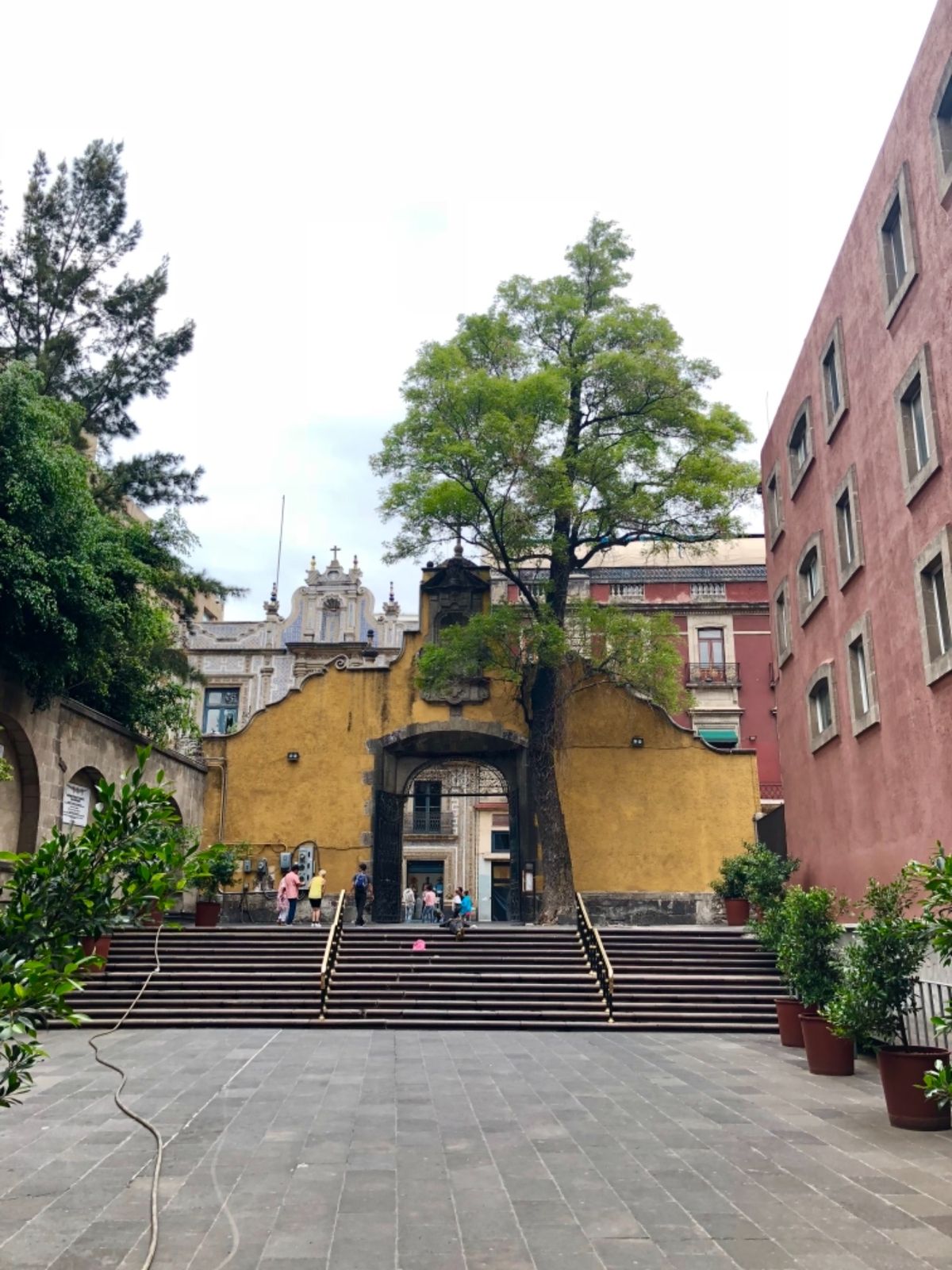 メキシコシティの街並みあれこれ

メキシコシティはかなり大きいので
街歩き...