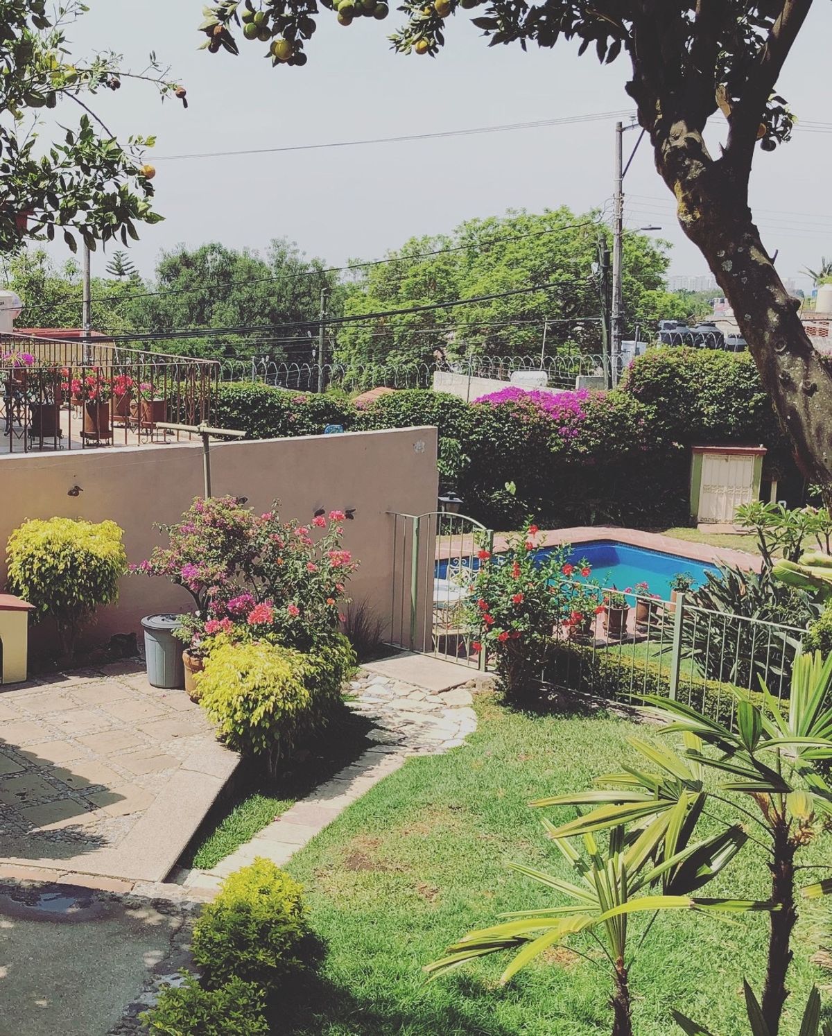 クエルナバカで泊まった宿のワンコちゃん
人懐こくて可愛いすぎた〜❤️