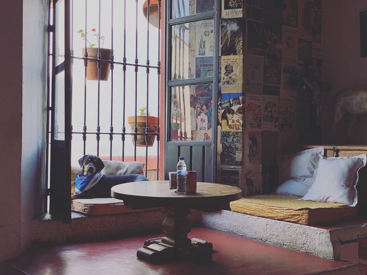 クエルナバカにある
Café Art & Antiquesというオシャレカ...