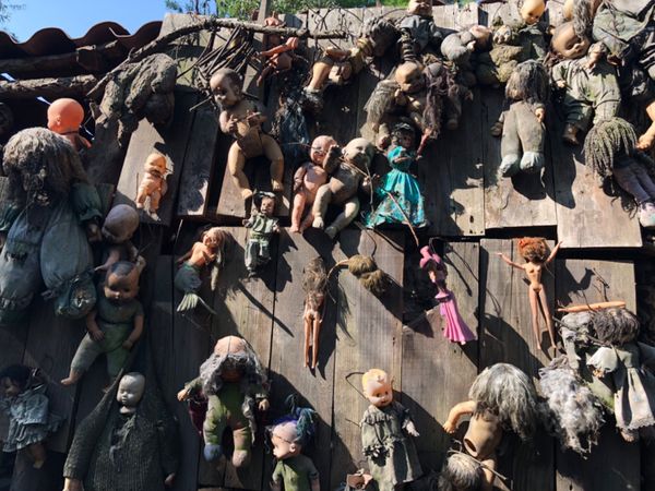 メキシコ・グアナファト「メキシコシティの周辺都市へ！！」の写真：ソチミルコの人形島

どこを見ても人形の...