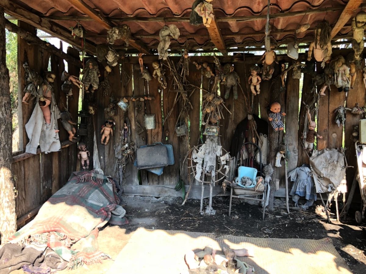 ソチミルコの人形島

写真のおじさんは
人形を拾って飾り始めたおじさんらし...