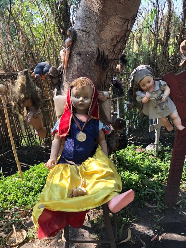 メキシコ・グアナファト「メキシコシティの周辺都市へ！！」の写真：ソチミルコの人形島

だから吊るし方がさ...