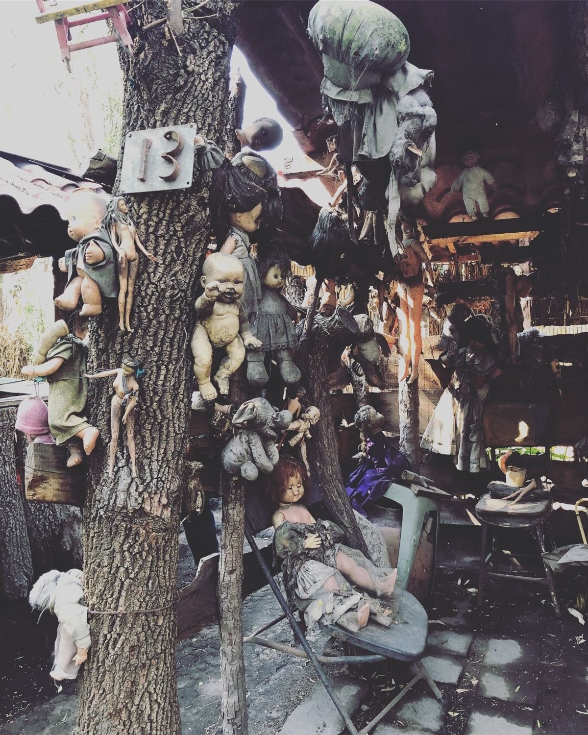 ソチミルコの人形島

島自体は小さいんだけど、
上陸したら建物の中も外もず...