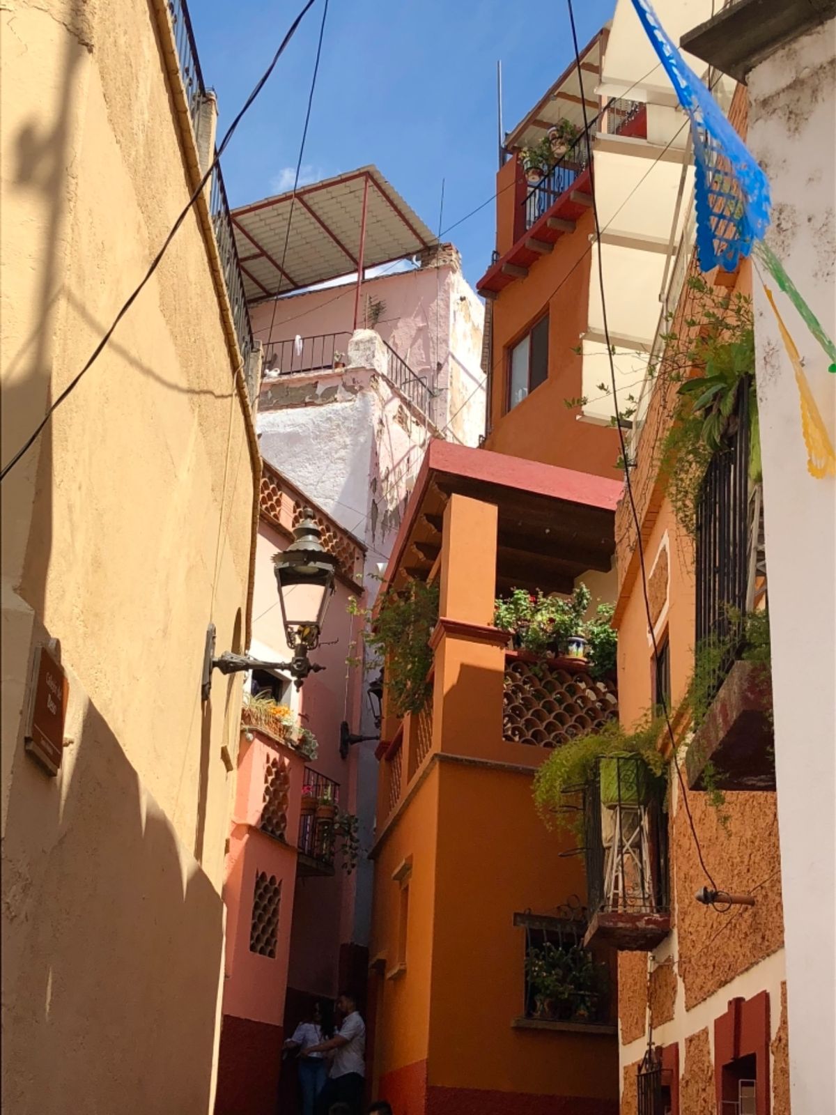 ディエゴの家は残念ながら閉まってた

カラフルなヒラヒラの旗、
大ヒットし...