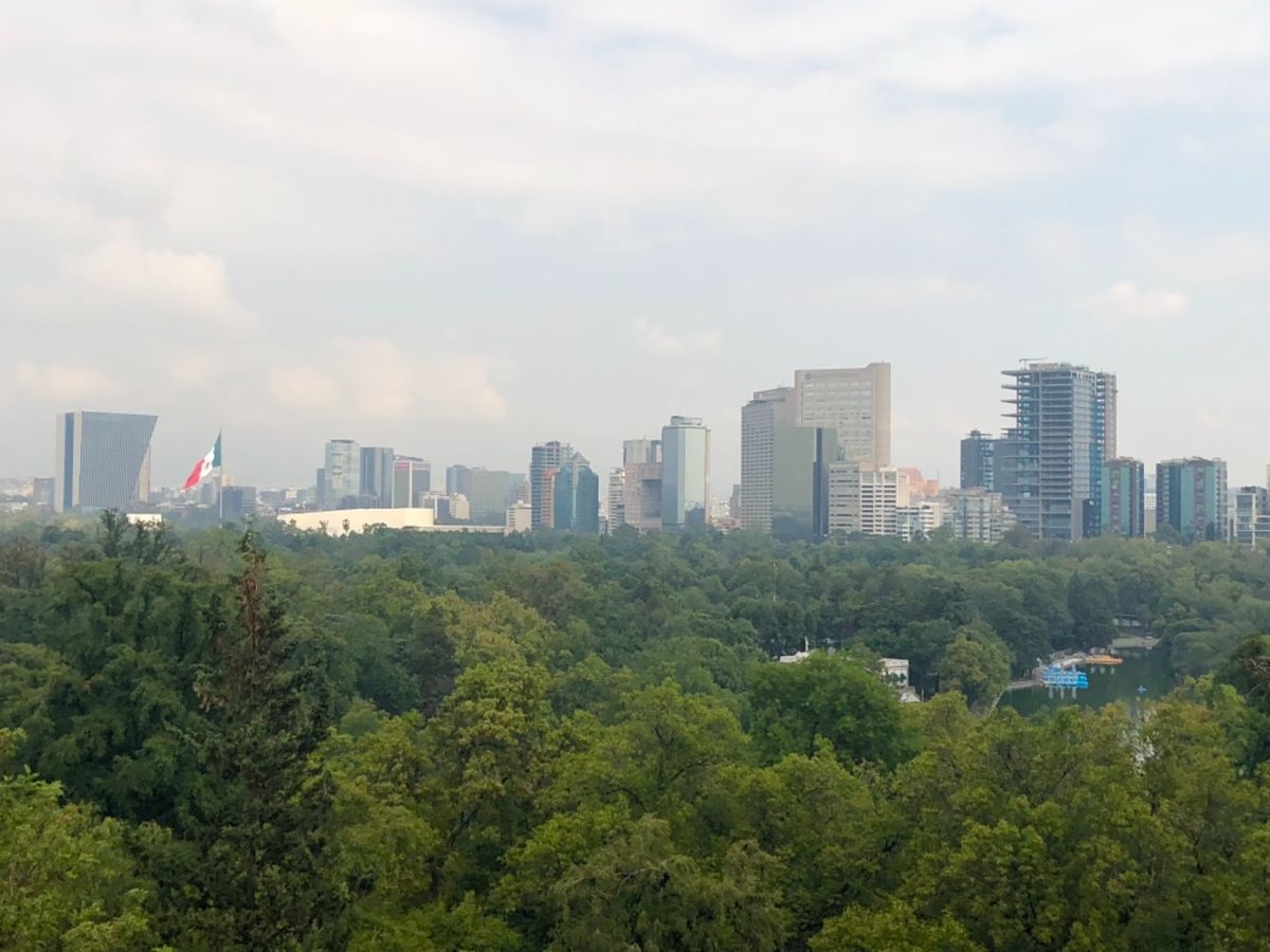 Chapultepec Castle

チャプルテペックの庭にはリスがたく...