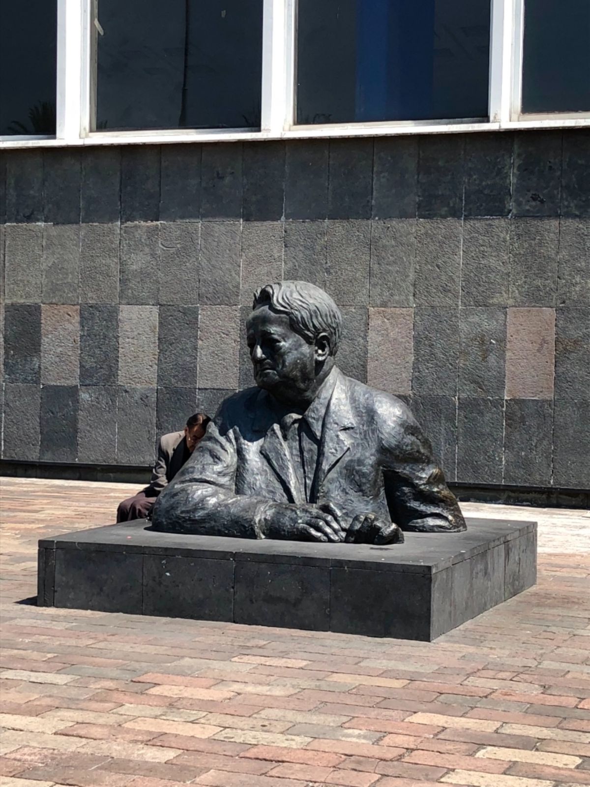 ヴァスコンセロス図書館に行ってみたかったんだけど
残念ながら休業だった😭
...