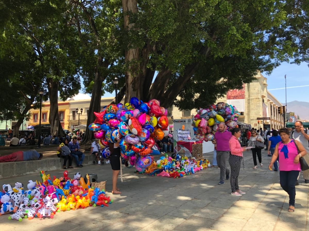 Catedral de Oaxaca

カテドラルの前で売られてる大量の風...