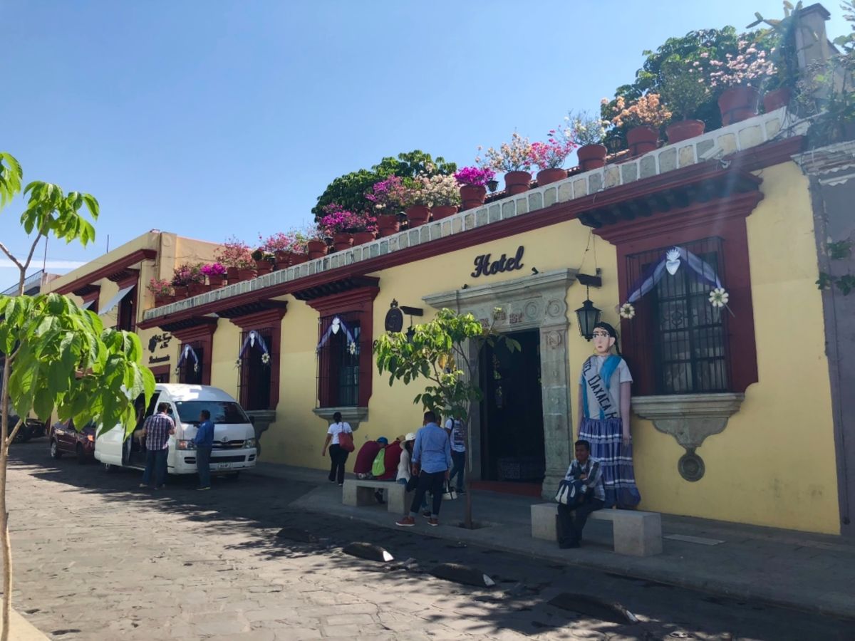 オアハカの街並みも可愛い😍
メキシコは元気になるカラフルな建物多くてお散歩...
