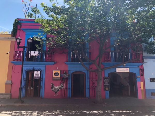 メキシコ・メキシコシティ「憧れのオアハカへ！」の写真：La ollaというレストランは
めちゃ...