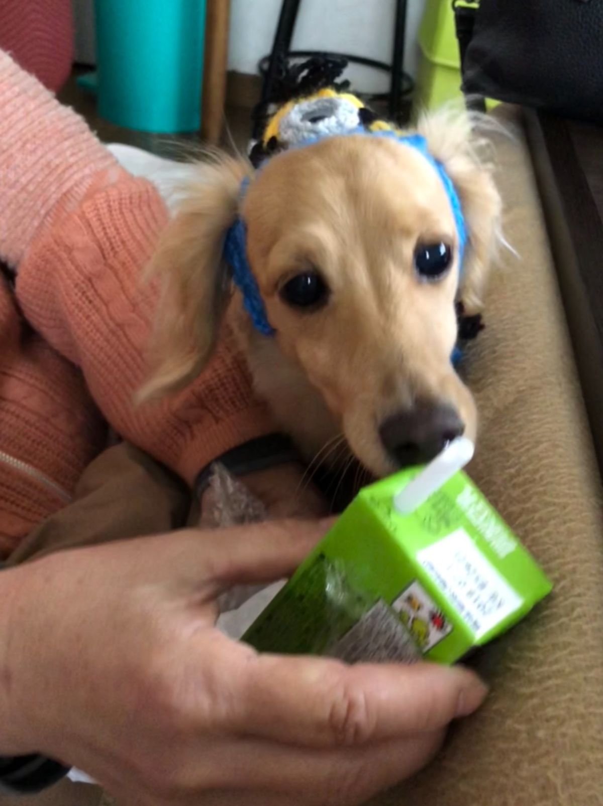 メキシコシティのアルテサナル・メヒカーノ市場 Mercado Artesa...