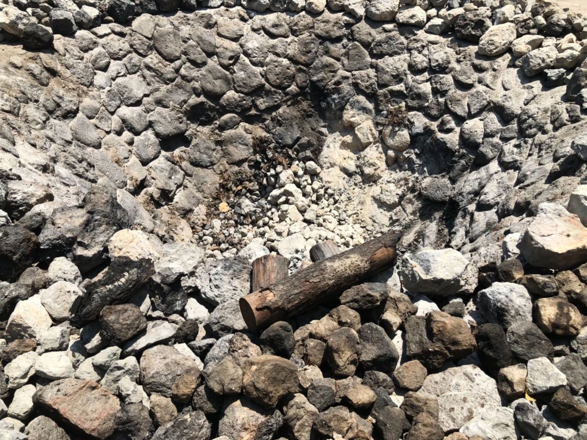 メスカル工場の見学へ
ここもかなり行ってみたかったところ